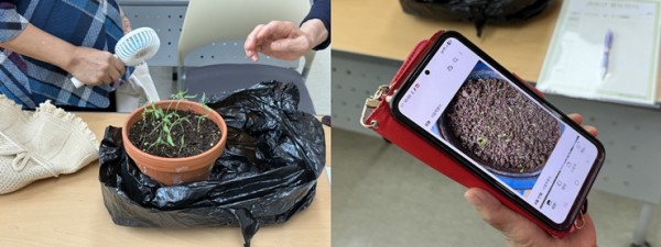 bdd3dcc25d9b45be949809604cd6722e_1755754