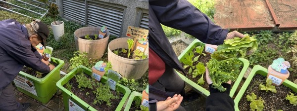 a7b83092a51dda9c0c8732e4dec07ee4_1760661