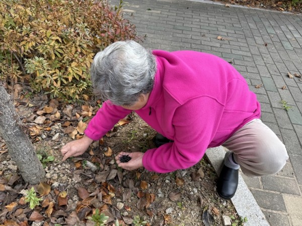 2e13fd12899a2579a5e43c00c5b84ae8_1763032